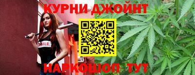 дмт Гатчина