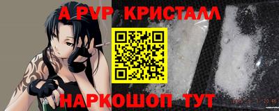 дмт Гатчина