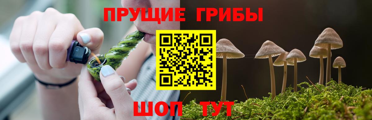 Галлюциногенные грибы Psilocybe  Вход с VPN  Галлюциногенные грибы мицелий  Долгопрудный 